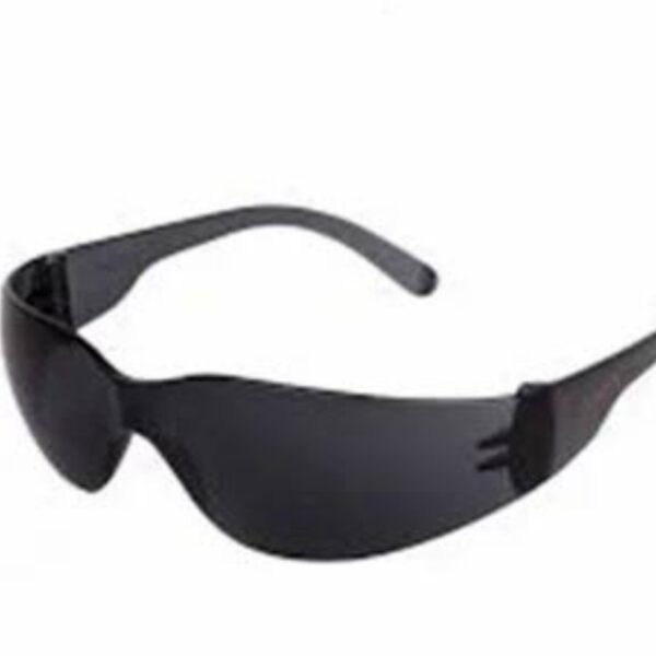 Safeline Goggles White and Black